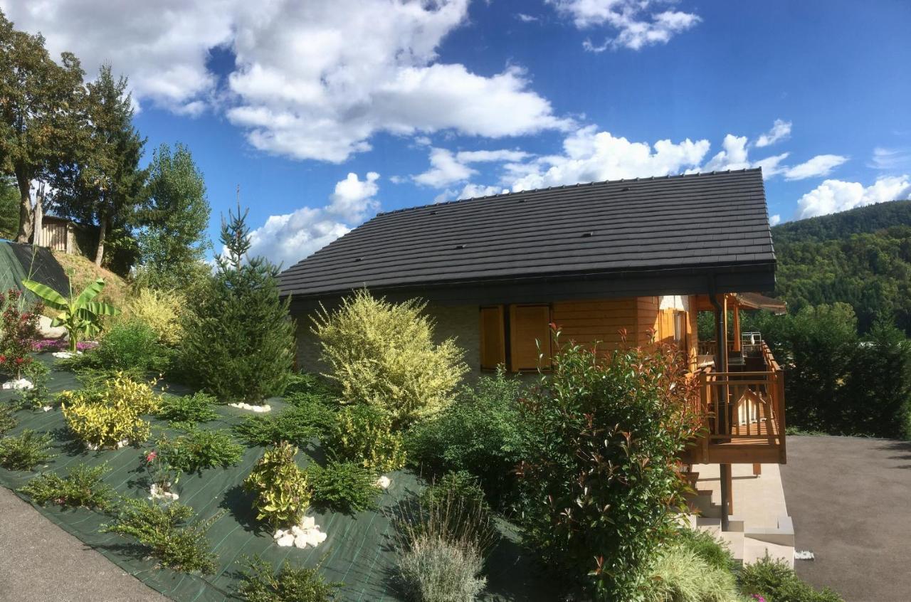 Chalet A La Campagne Coise-Saint-Jean-Pied-Gauthier 外观 照片